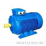 Электродвигатель АИР 250 S2 Электродвигатель АИР 250 S2